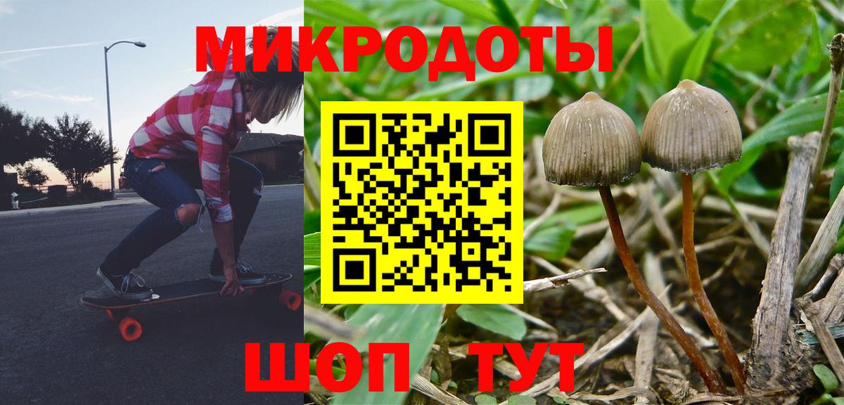 Краснознаменск  Псилоцибиновые грибы ЛСД  Вход с VPN  Галлюциногенные грибы Psilocybine cubensis 