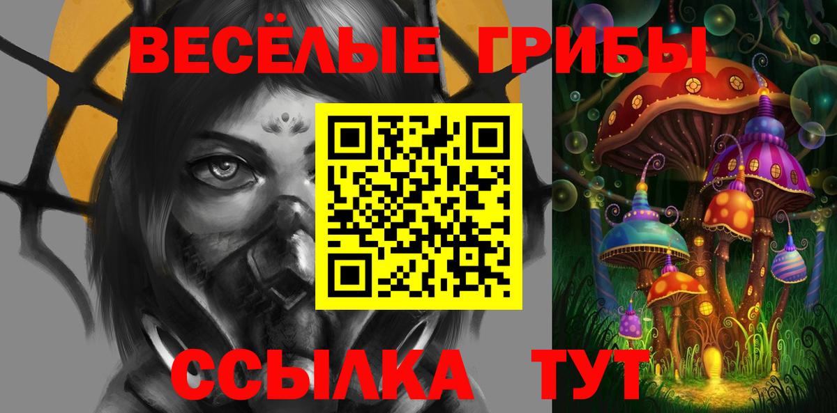 Галлюциногенные грибы ЛСД Краснознаменск
